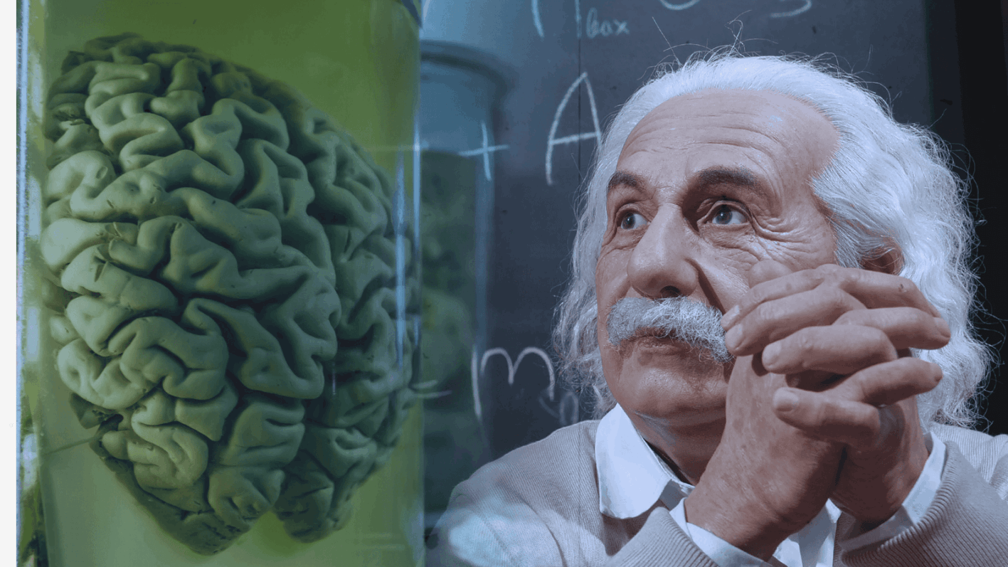 neuro-energizer-6-bottles